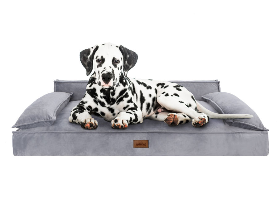 Hundebett 