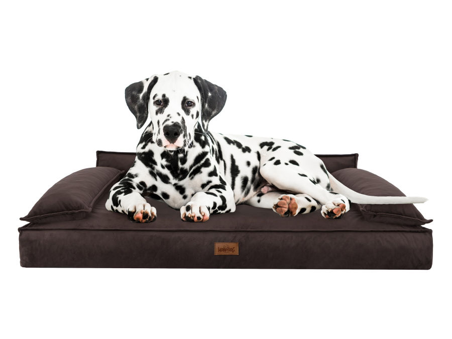 Hundebett 