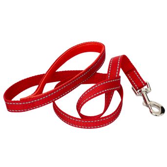 Gurtband-Hundeleine 120 cm – robust, reflektierend und komfortabel