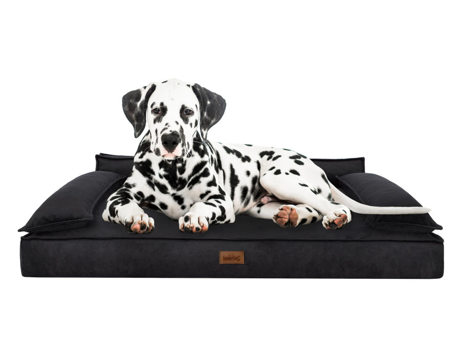 Hundebett 