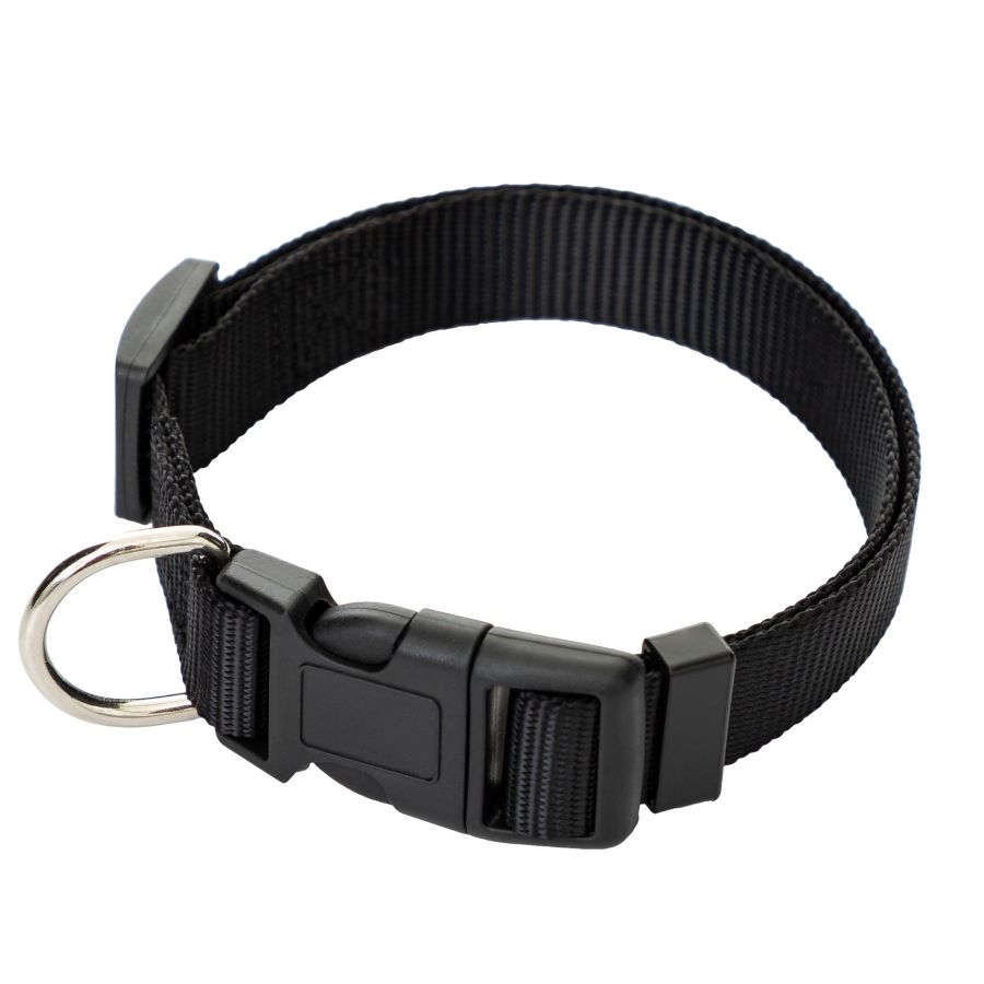 Verstellbares Gurtband-Halsband für Hunde 20–40 cm – robust, leicht und universell