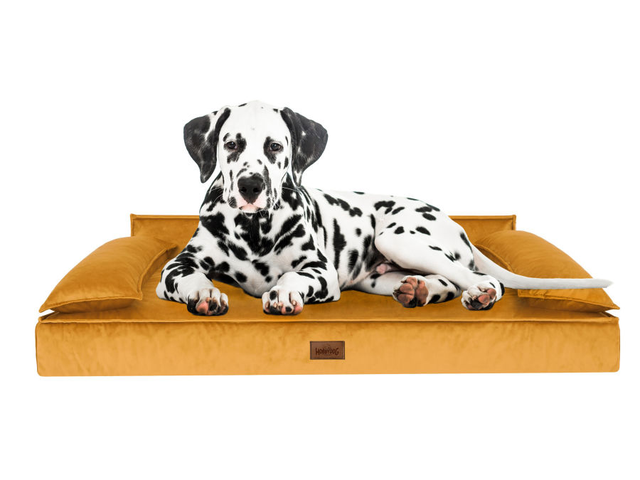 Hundebett 