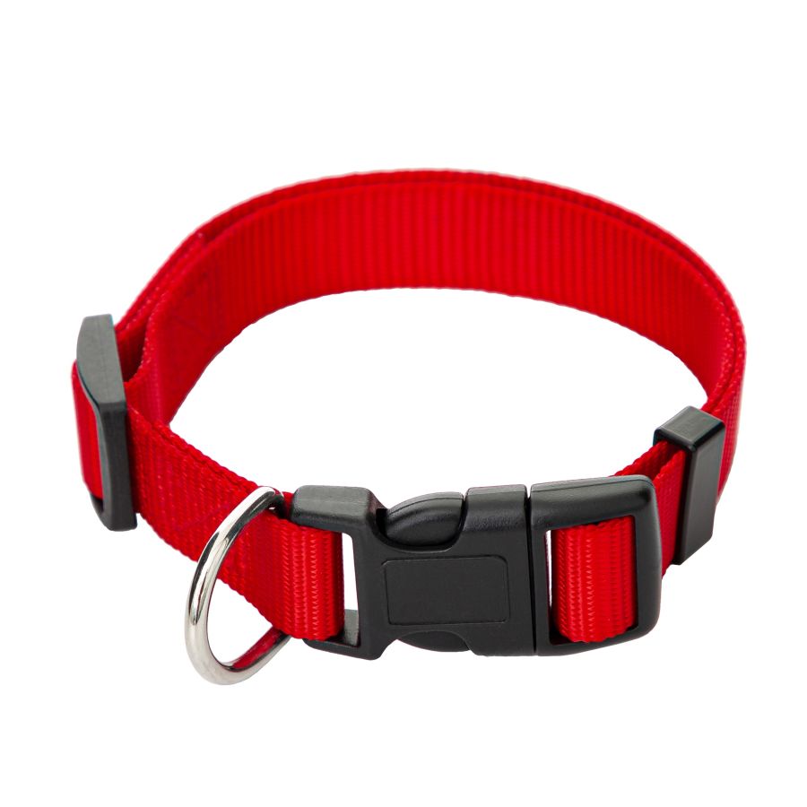 Verstellbares Gurtband-Halsband für Hunde 20–40 cm – robust, leicht und universell
