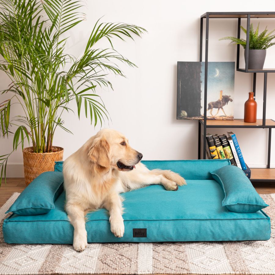 Hundebett 