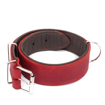 Verstellbares Hundehalsband aus Leder, Farbe Esche