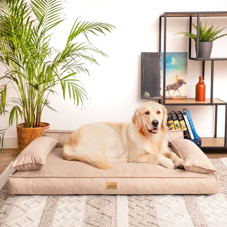 Hundebett 