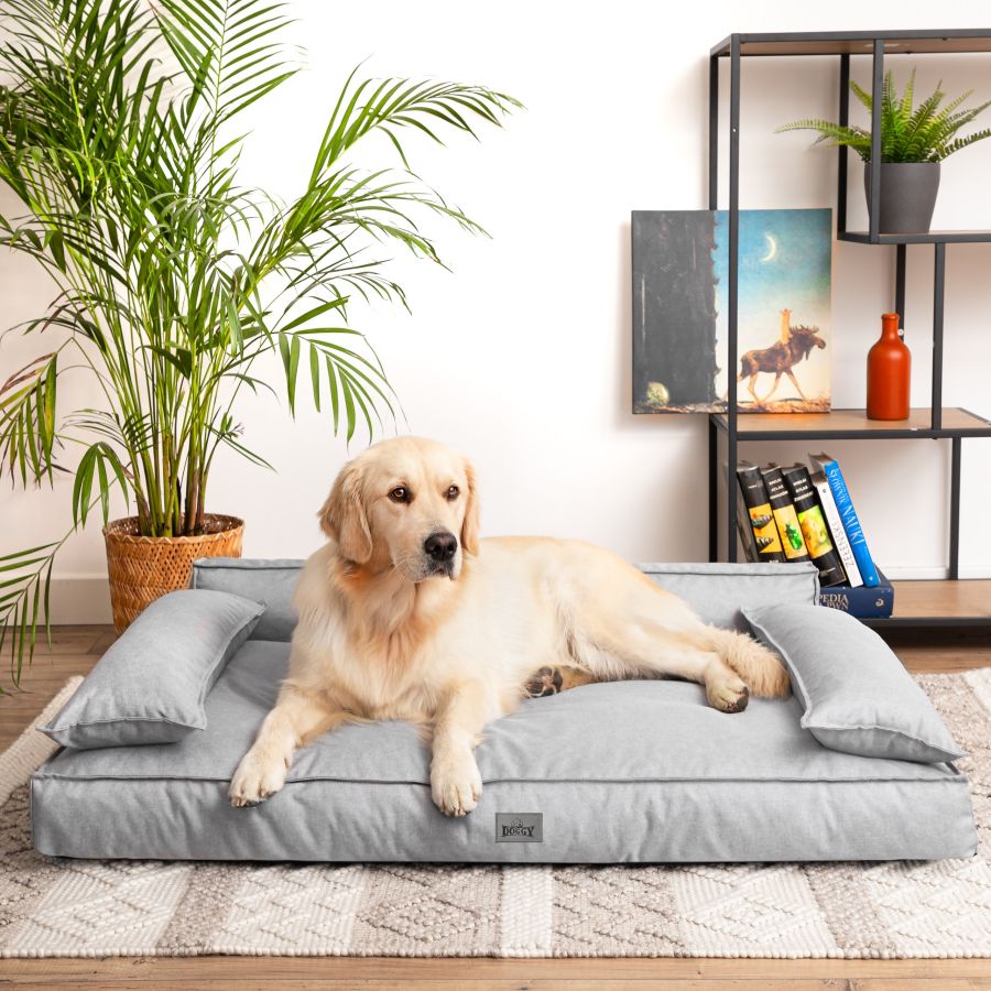 Hundebett 