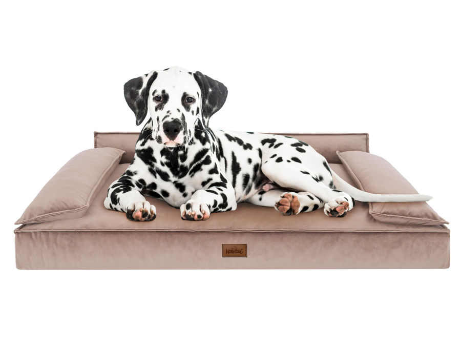 Hundebett 
