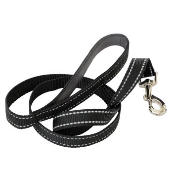 Gurtband-Hundeleine 120 cm – robust, reflektierend und komfortabel