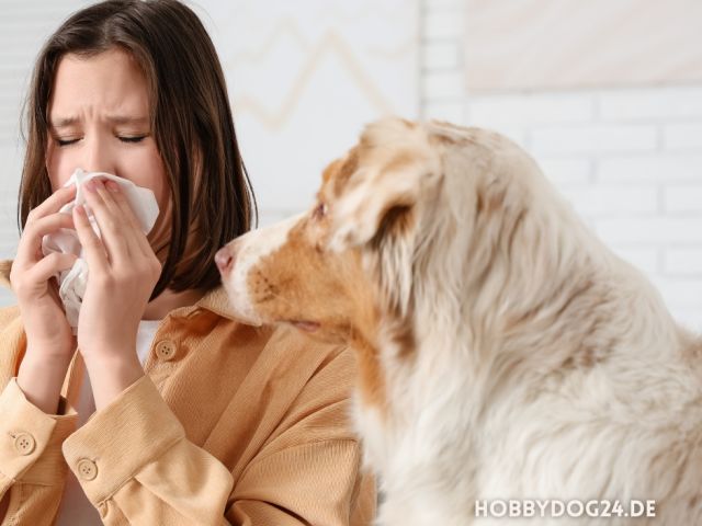 Hunde für Allergiker: Welche Rassen sind geeignet?